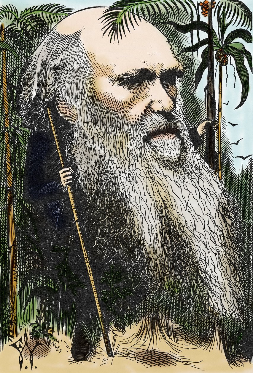 Charles DARWIN (1809-1882) karikatur av F. Waddy i "" in Once A Week" fra 1873. av Frederick Waddy