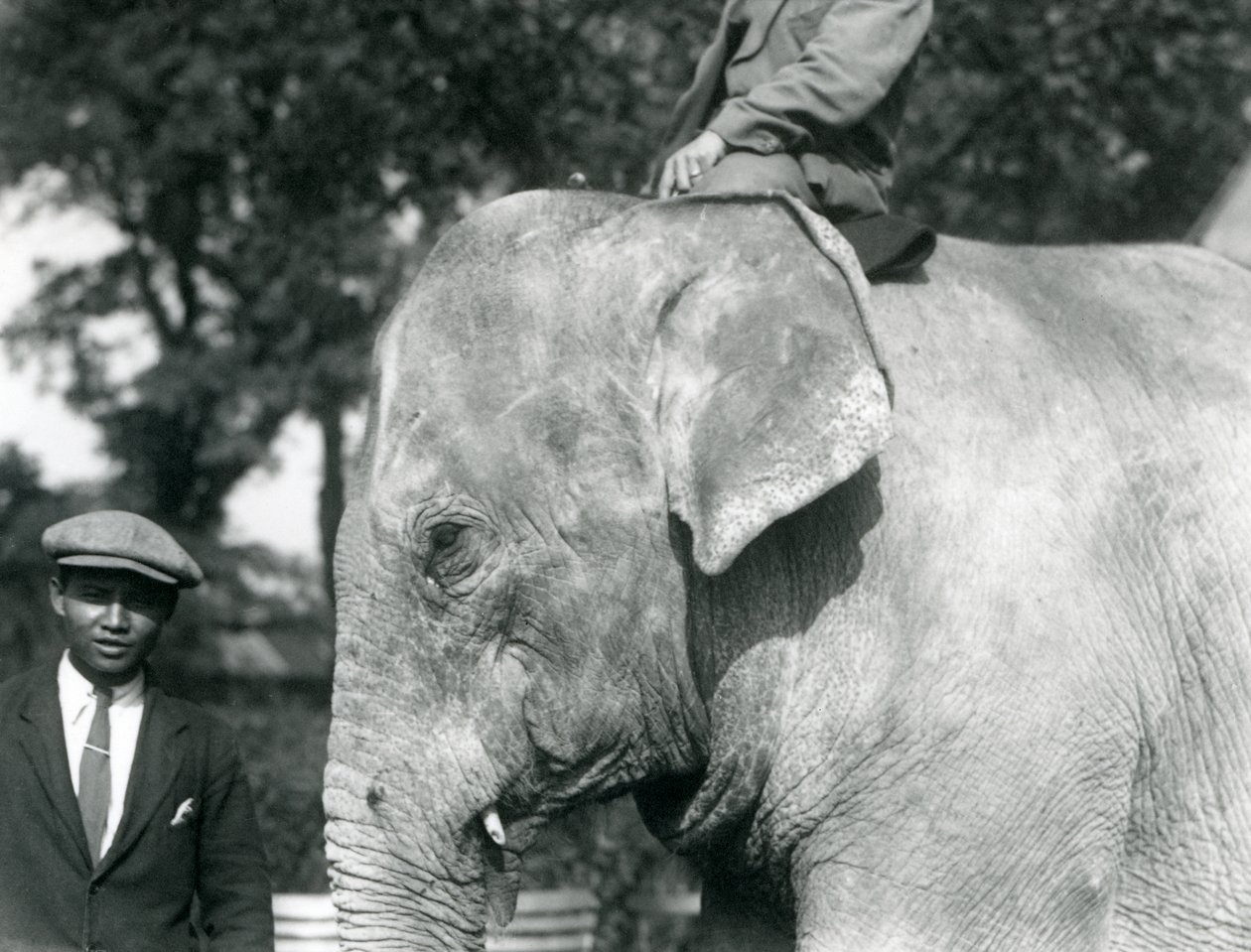 En burmesisk elefant med sin trener og en annen mann, London Zoo, september 1926 av Frederick William Bond