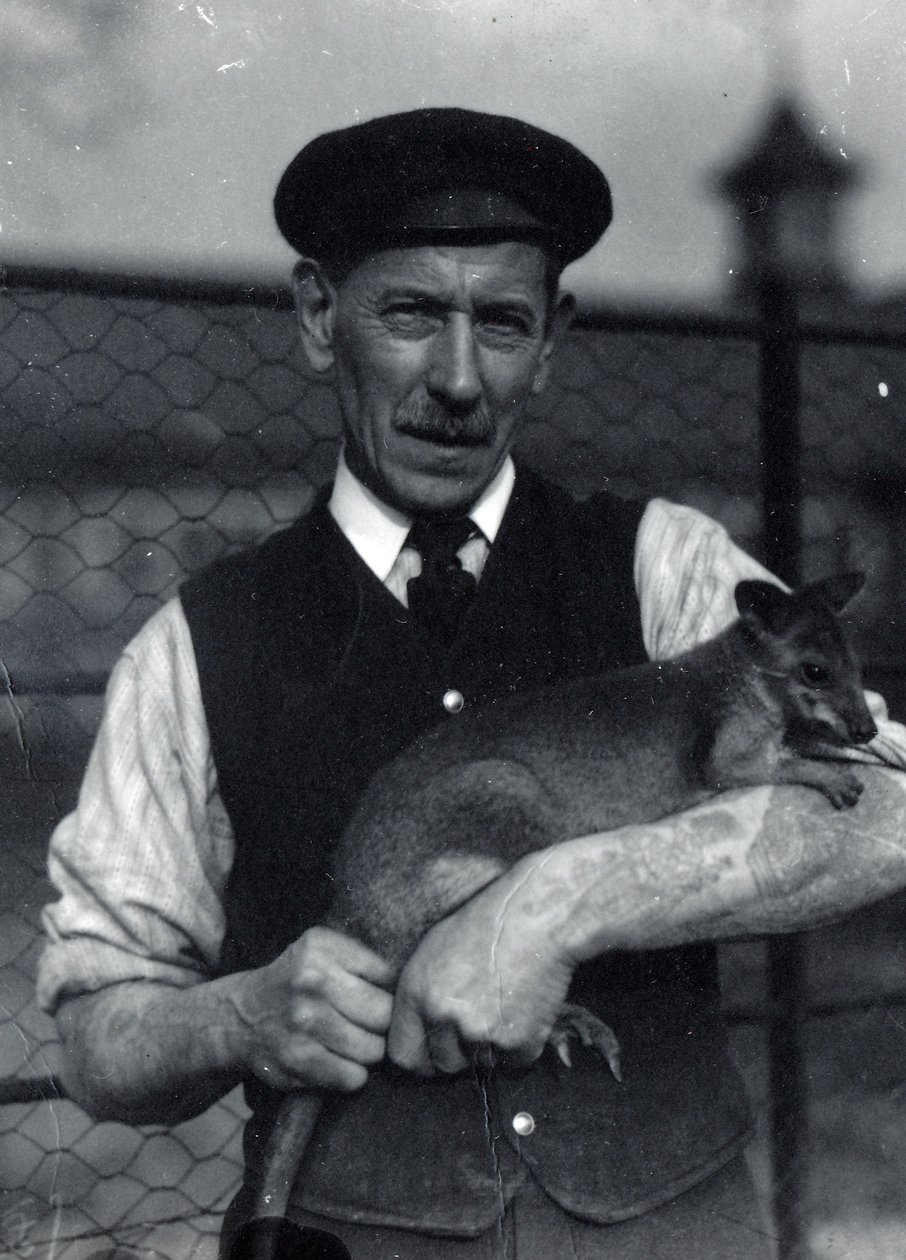 En keeper holder en wallaby, oktober 1920 (s/hvitt-bilde) av Frederick William Bond