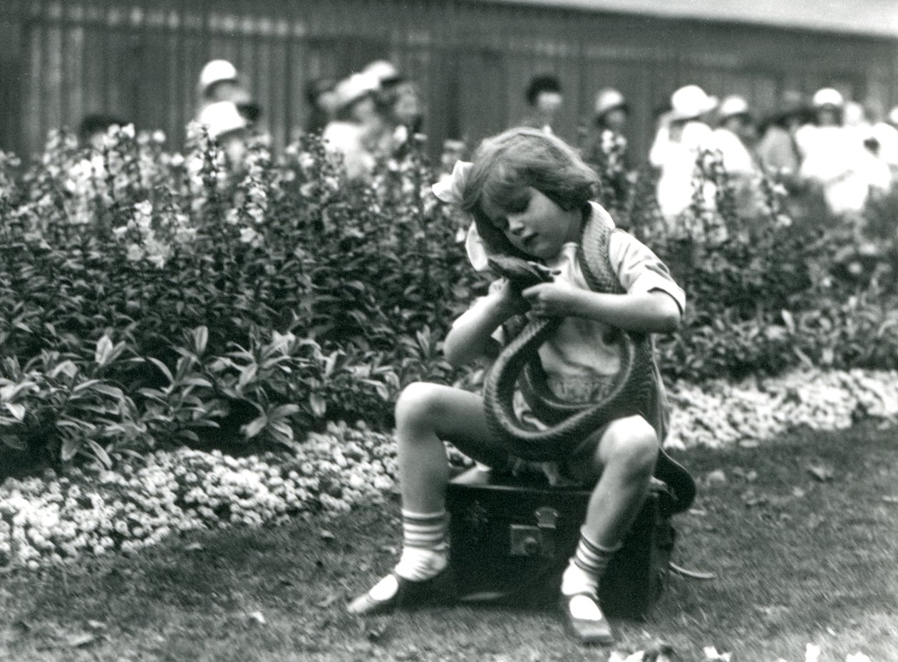 En ung jente Betty som holder en Eastern Indigo Snake mens hun sitter på en skinnkoffert, London Zoo, 1924 av Frederick William Bond