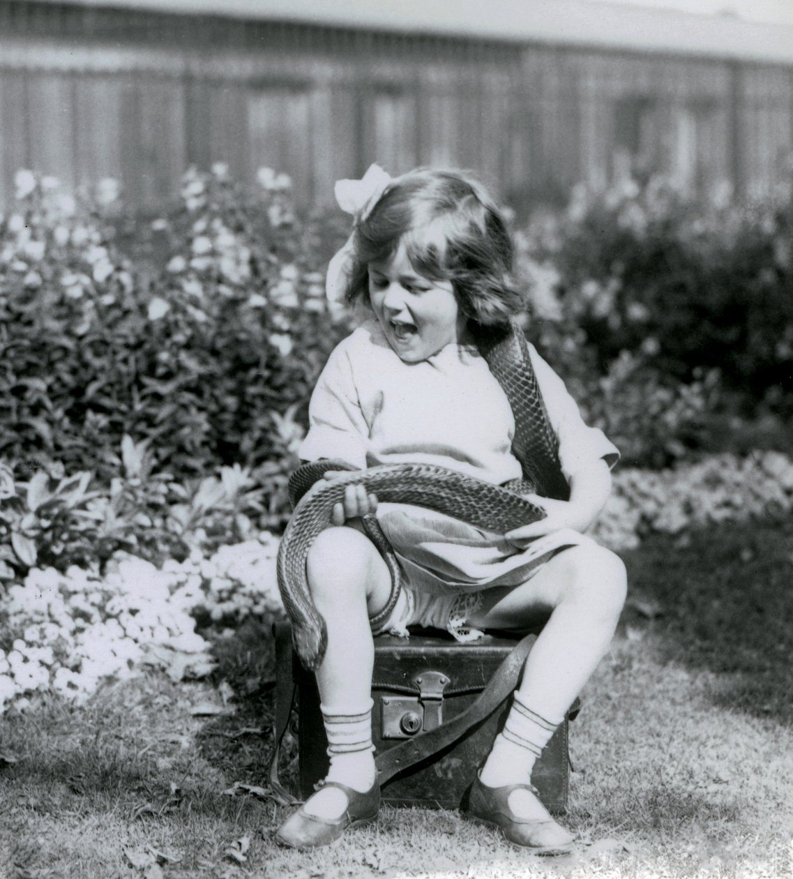 En ung jente Betty som holder en Eastern Indigo Snake mens hun sitter på en skinnkoffert, London Zoo, 1924 av Frederick William Bond