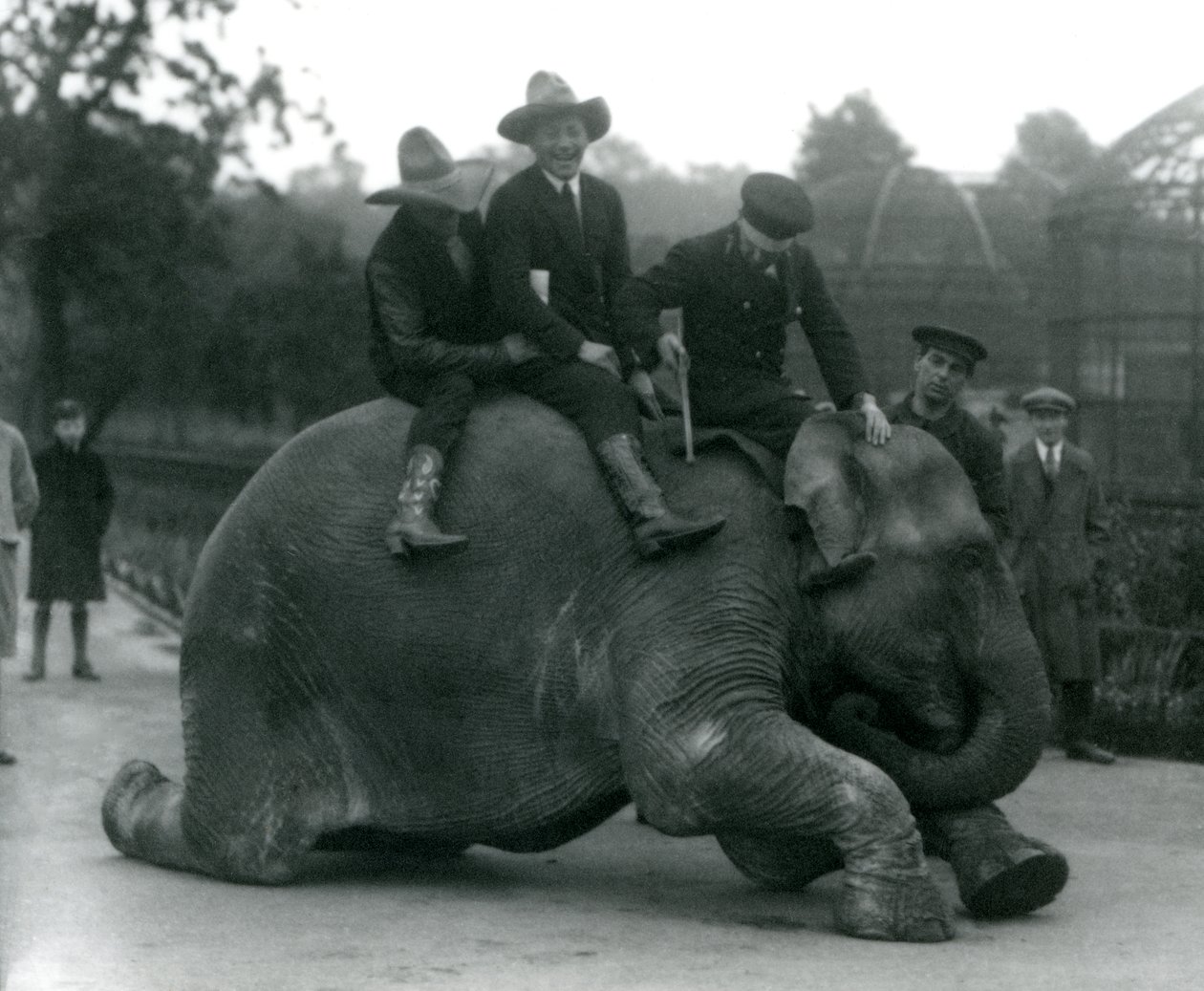 Cowboyer og trener med den indiske elefanten Sundermalah under et besøk i London Zoo i 1924 av Frederick William Bond