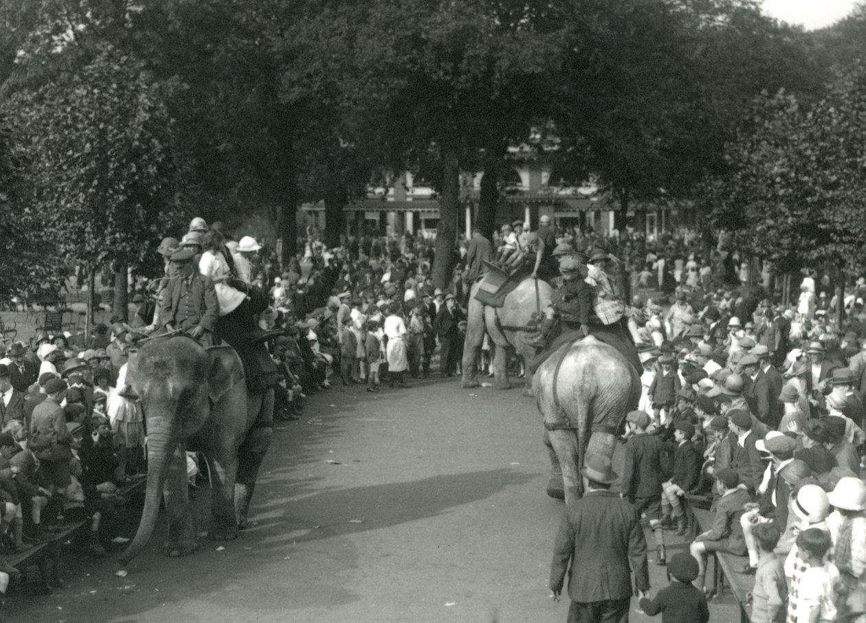 Elefantritt, med tre asiatiske elefanter sett av mengder av tilskuere ved London Zoo i august 1926 (s/hvitt-bilde) av Frederick William Bond