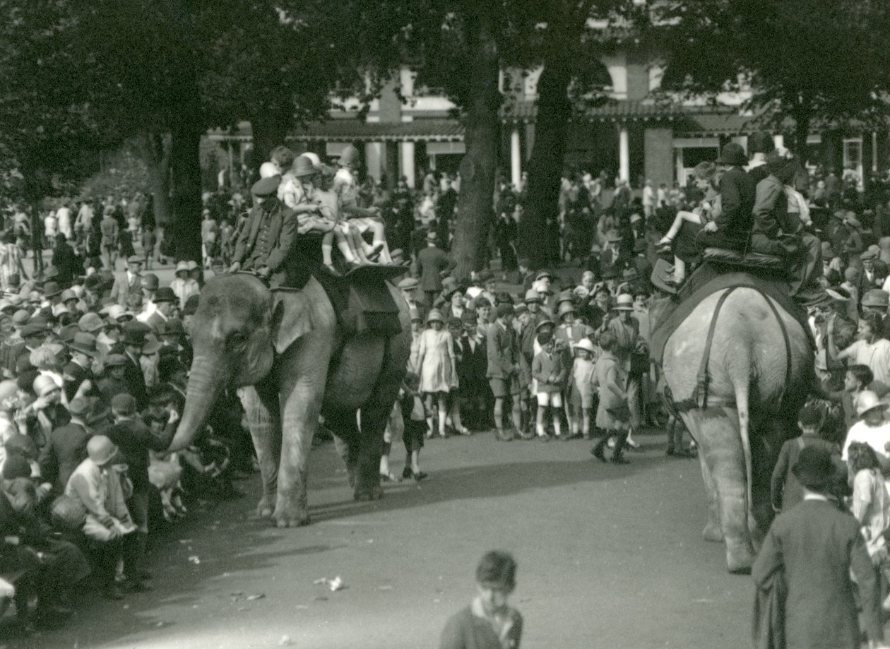 Elephant Rides, med to asiatiske elefanter sett av mengder av tilskuere i London Zoo i august 1926 (s/hv-bilde) av Frederick William Bond