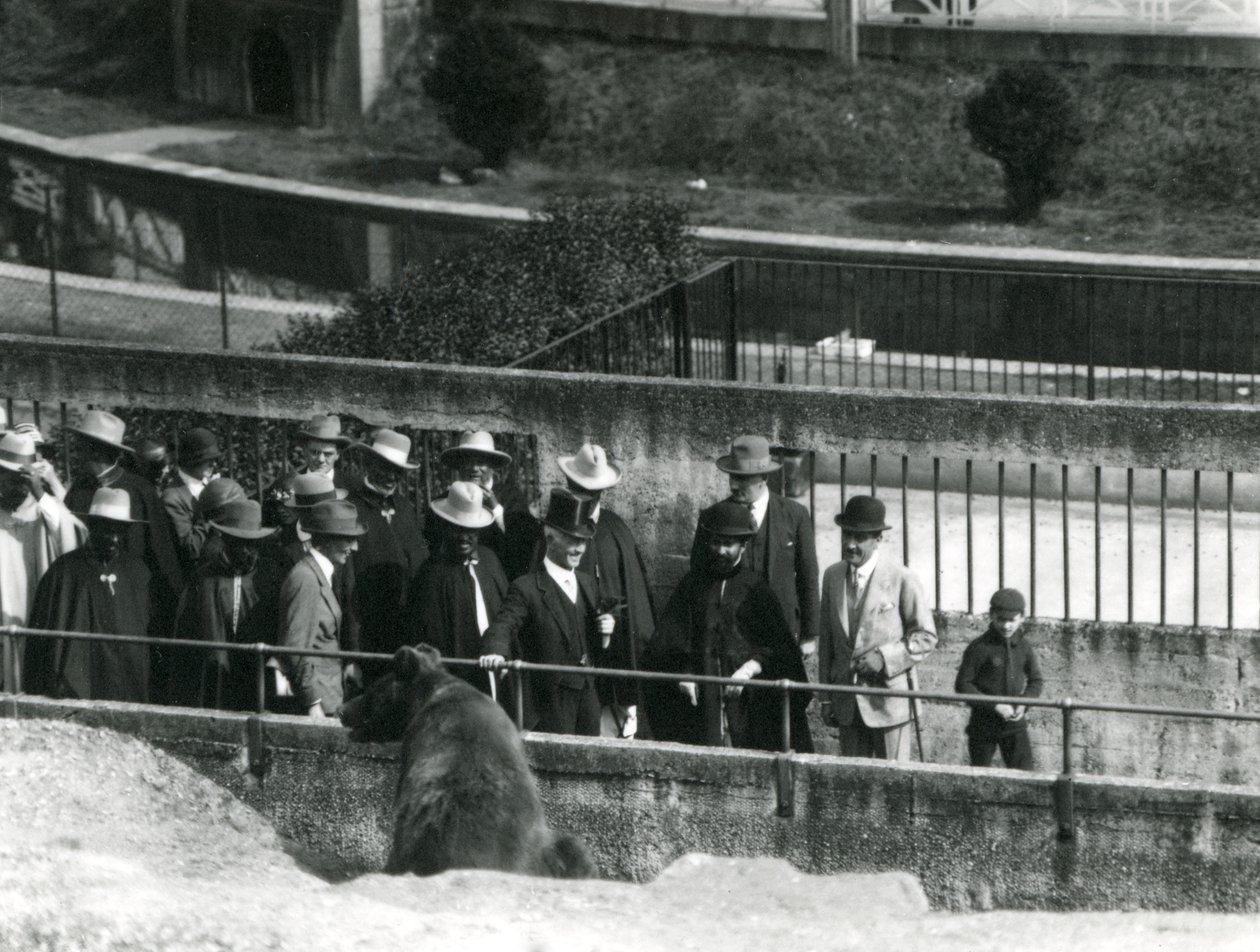Sir Peter Chalmers Mitchell, med den etiopiske regenten Haile Selassie og hans følge, ser på en brunbjørn på Mappin Terraces, London Zoo, 1924 av Frederick William Bond