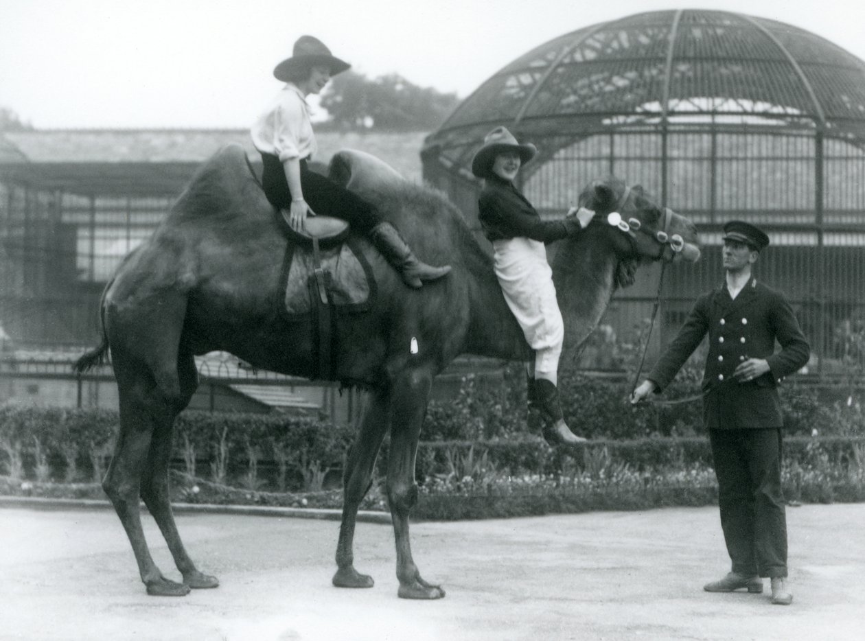 To cowgirls poserer på en baktrisk kamel, som holdes av keeperen, under et besøk i London Zoo i 1924 av Frederick William Bond