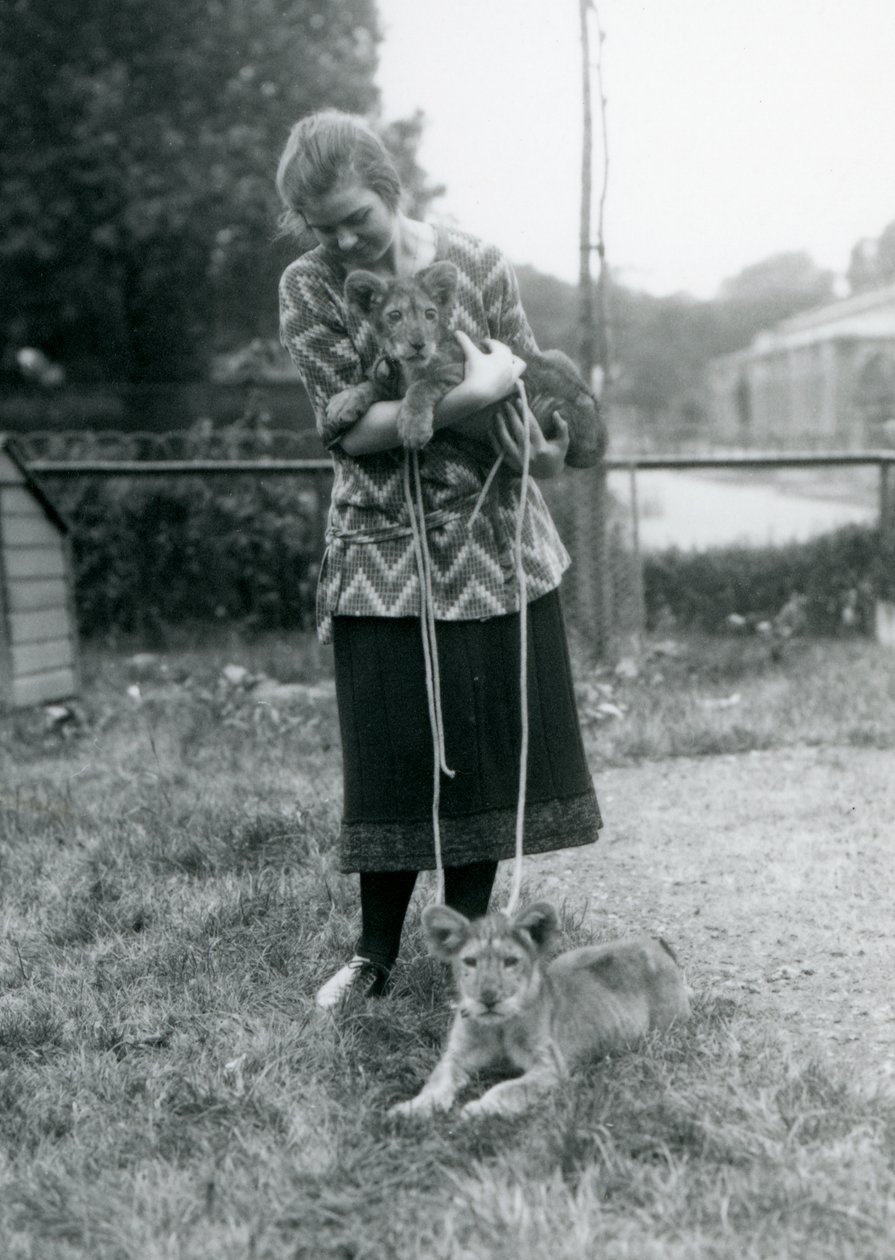 To løveunger med en ung kvinne i London Zoo i august 1925 av Frederick William Bond