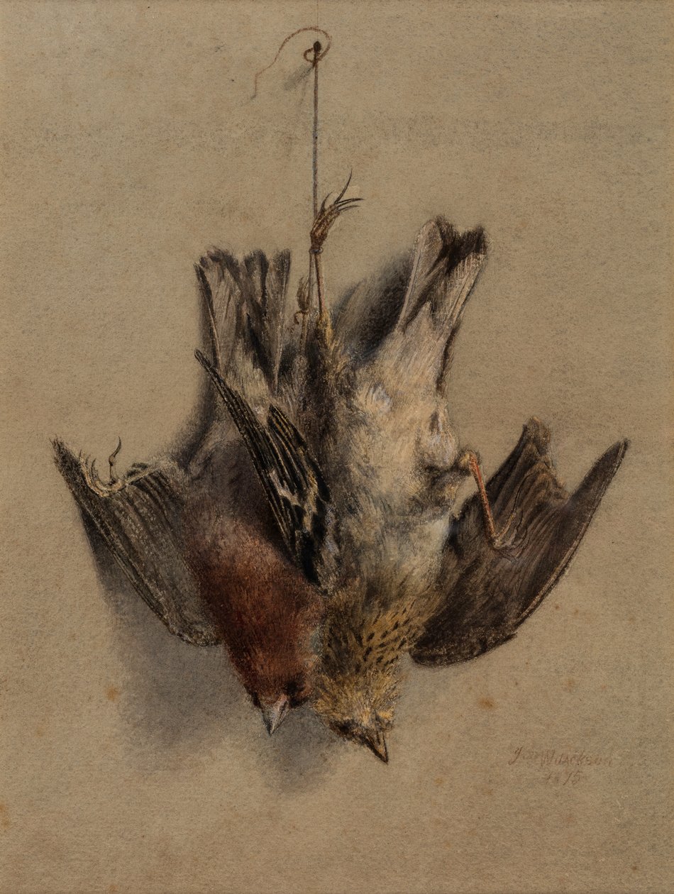 av Frederick William Jackson