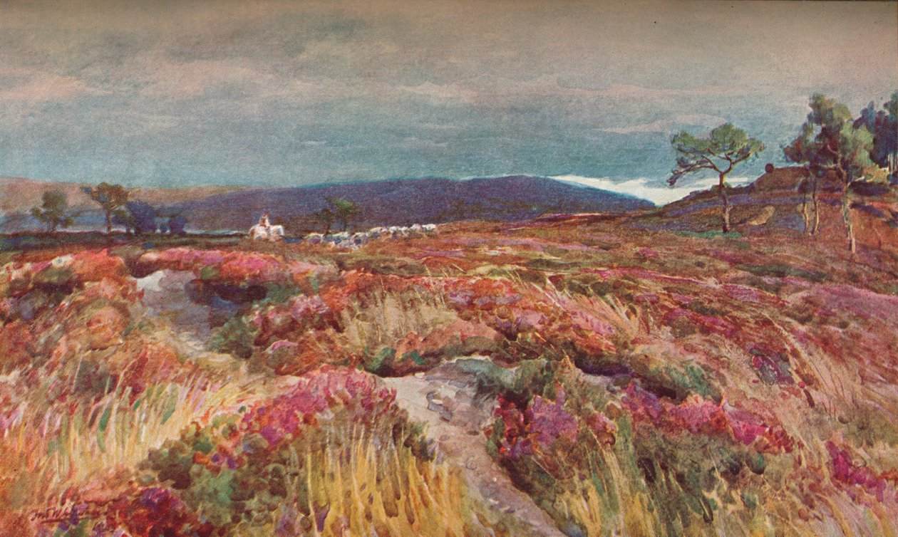 On The Heath Lytchett Minster, c1904 av Frederick William Newton Whitehead