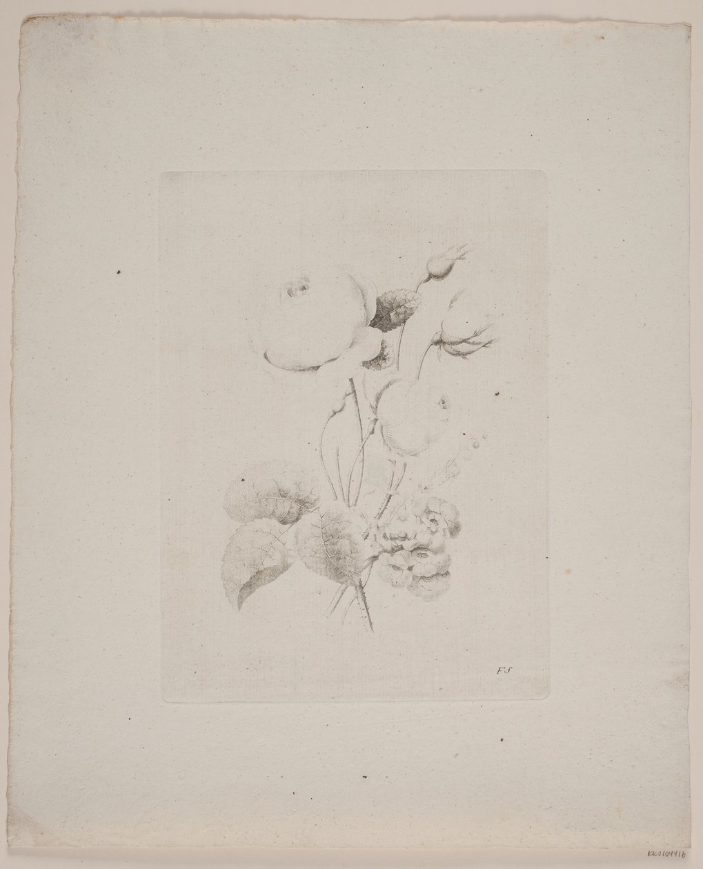 Blomstermotiv av Frederik Schepelern