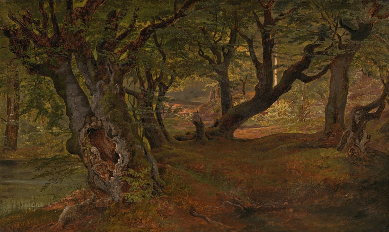 Utsikt over Bregentvedskogen, Sjaelland, midten av 1830-årene. av Frederik Sødring