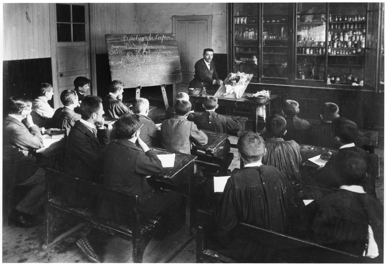 En naturhistorietime på en barneskole, Orme, disseksjon av en kanin, tidlig på 1900-tallet av French Photographer