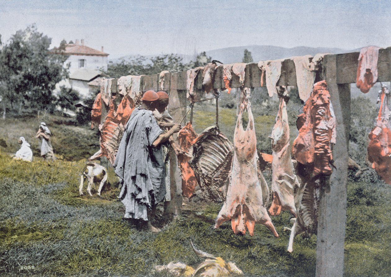 Arabisk slakteri i Algerie, slutten av 1800-tallet av French Photographer
