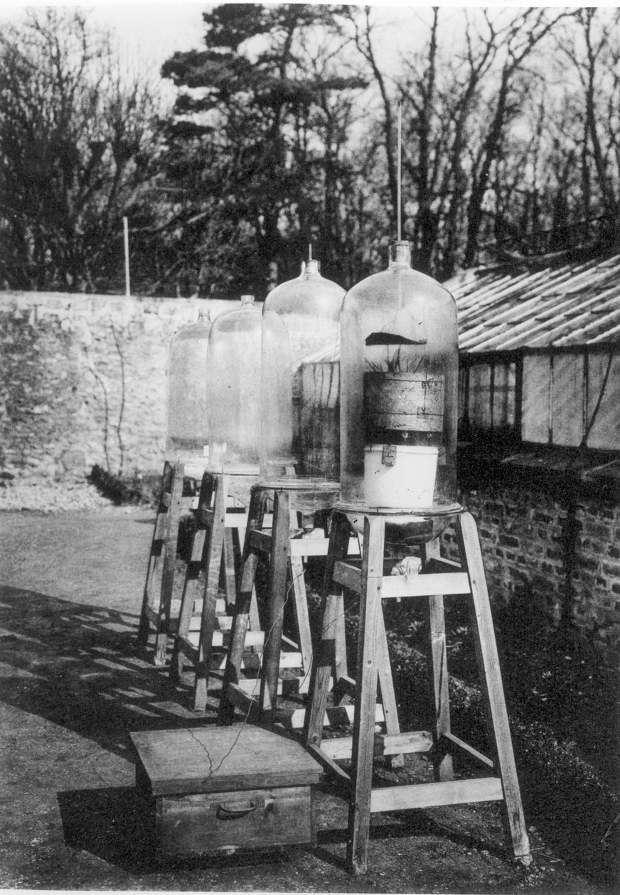 Klokkeglass pleide å studere atmosfærisk nitrogen under påvirkning av elektrisitet ved stasjonen Marcellin Bertholet, Meudon, fra en bok om 400 år med College de France, utgitt i 1930 (bw ph) av French Photographer