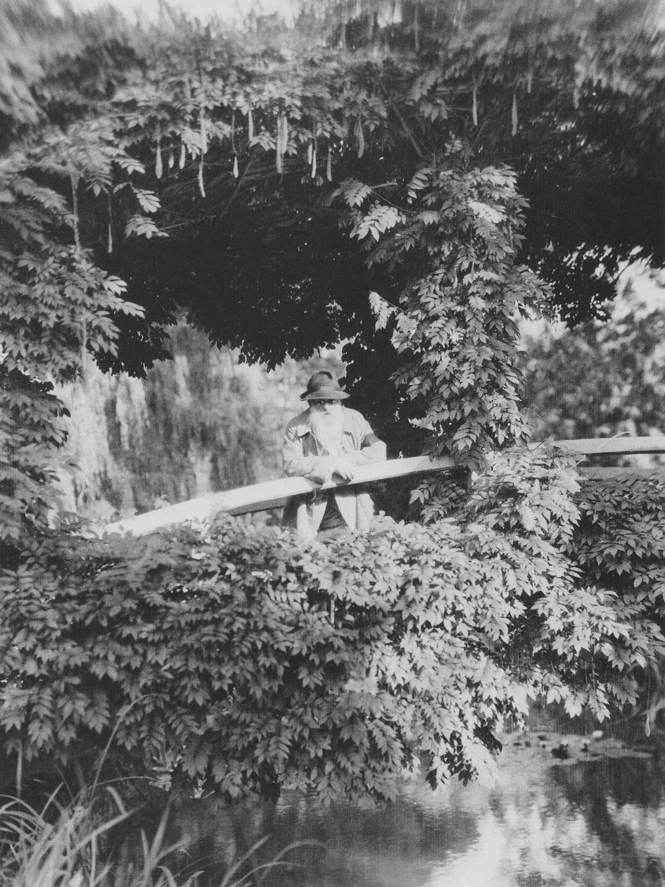 Claude Monet (1841-1926) på den japanske broen i hagen hans ved Giverny av French Photographer