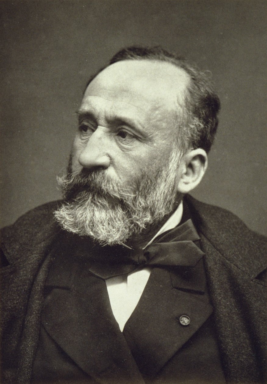 Pierre Cecile Puvis de Chavannes (1824-98), fra Contemporary Gallery, ca. 1874-78 av French Photographer