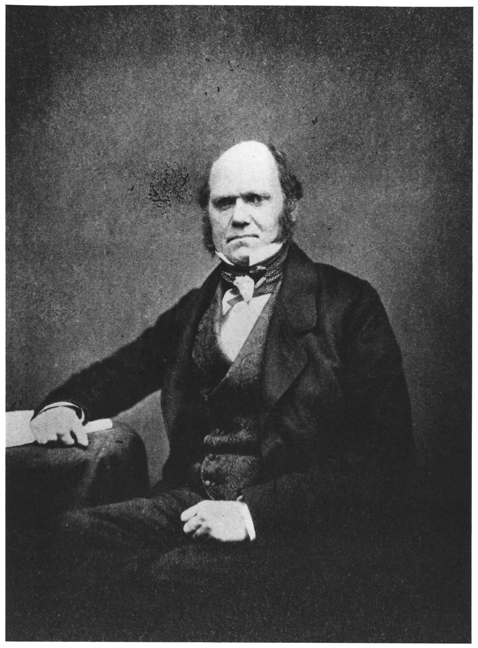 Portrett av Charles Darwin (1809-82) av French Photographer