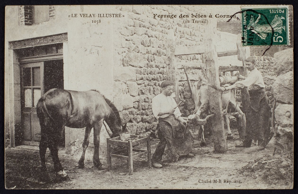 Postkort som viser skoing av en hest i Cornes, Le Velay, ca. 1900 av French Photographer
