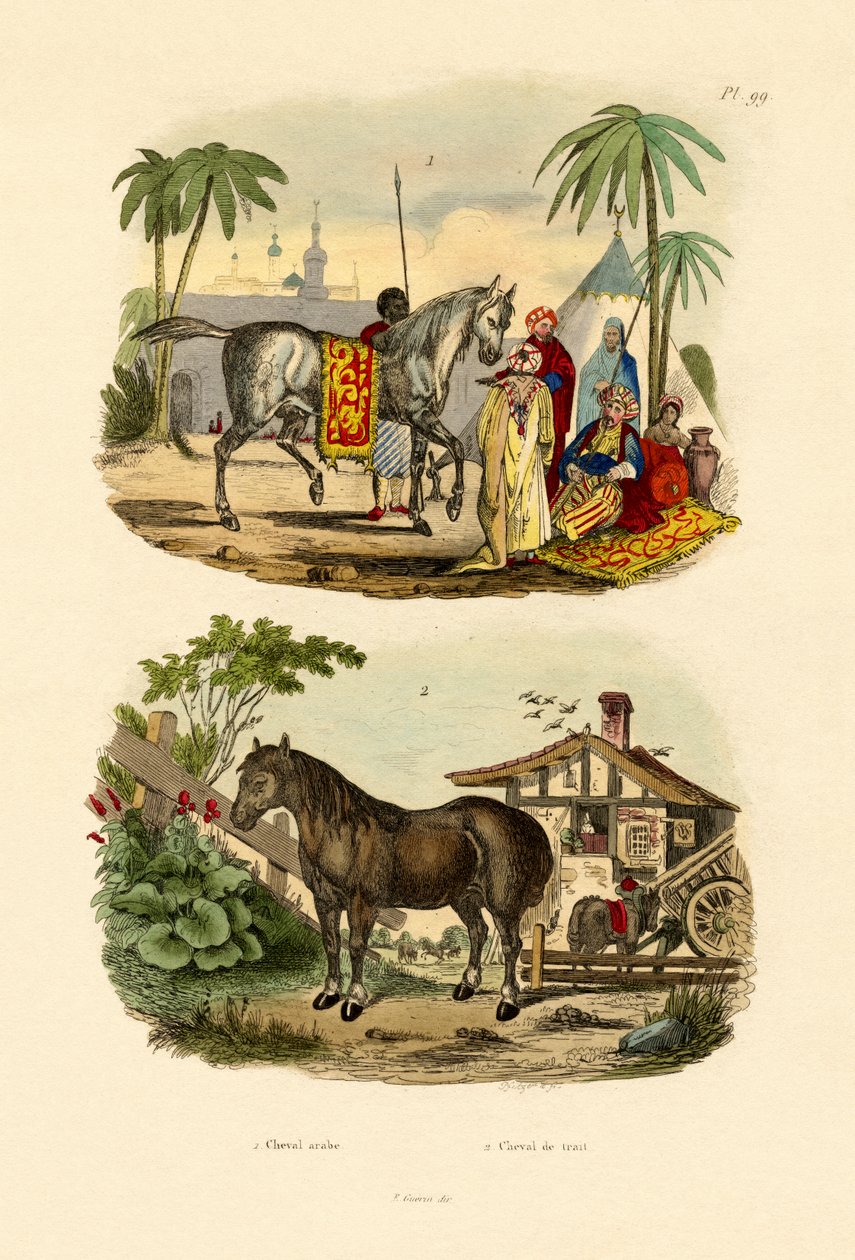 Arabisk hest, 1833-39 av French School