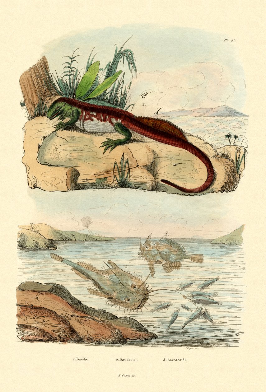 Basilisk, 1833-39 av French School