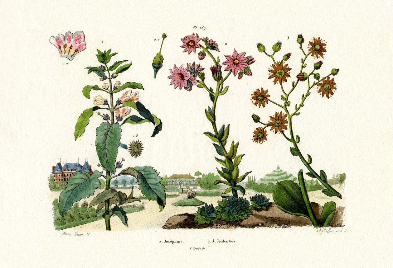 Blodstener, 1833-39 av French School