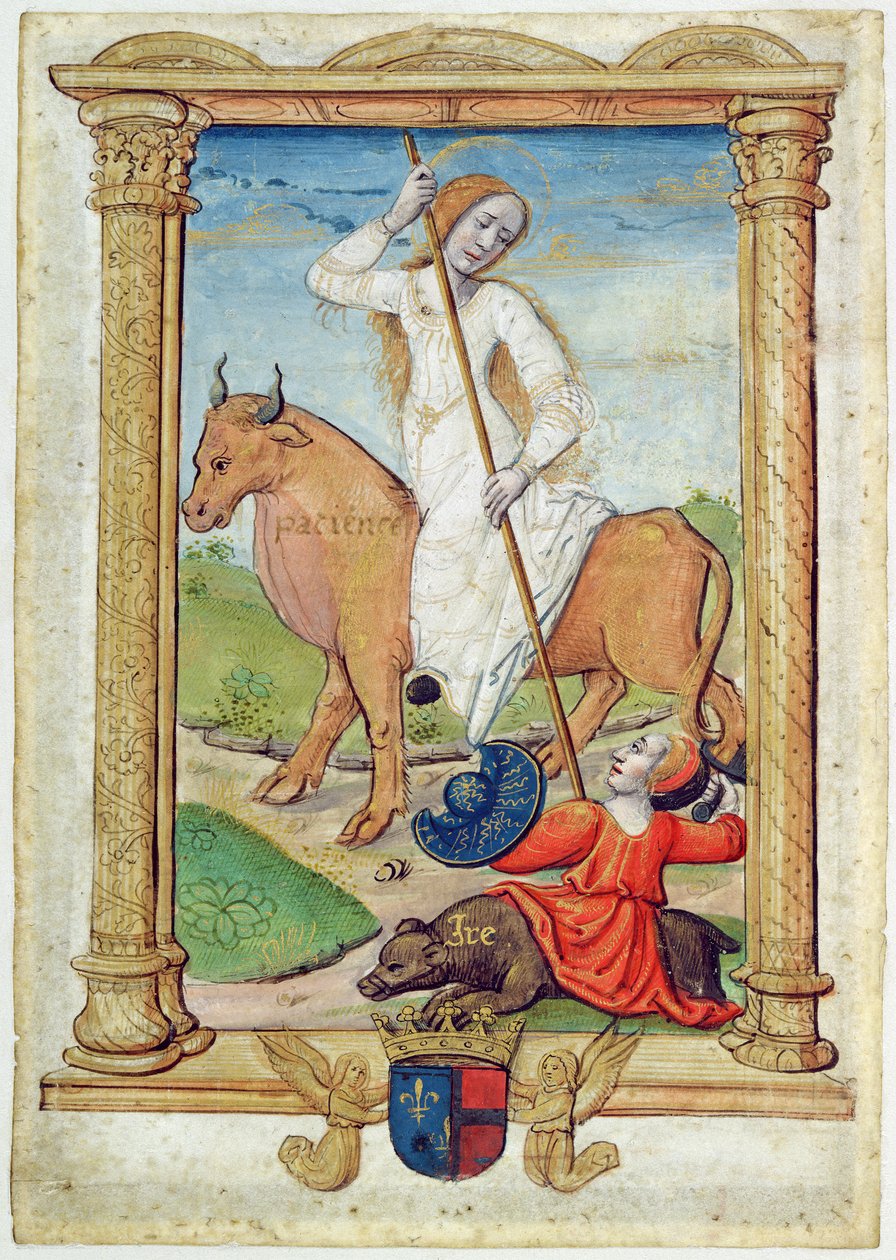 CL 22718D Patience Against Wrath, fra 