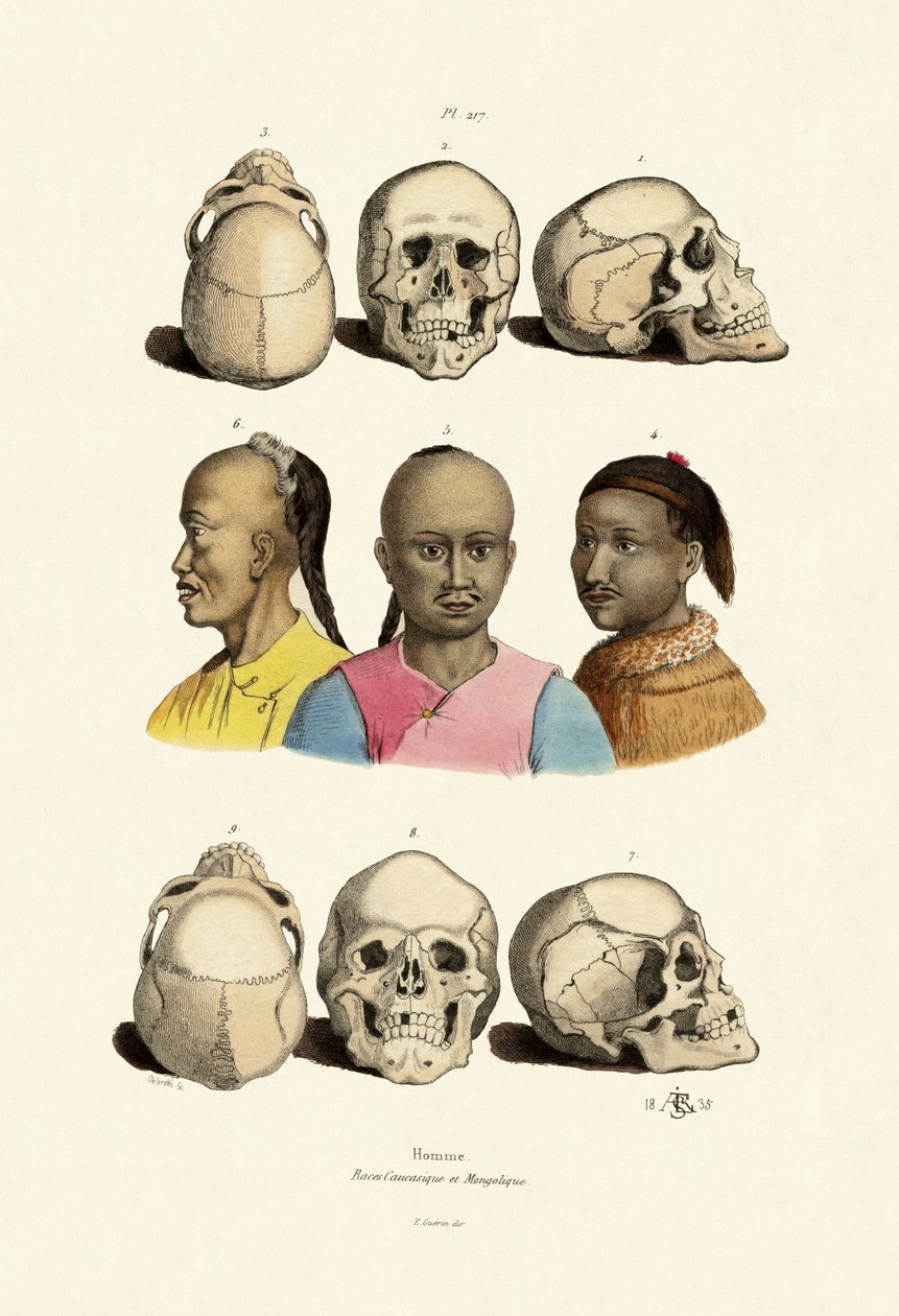 Kaukasere, 1833-39 av French School