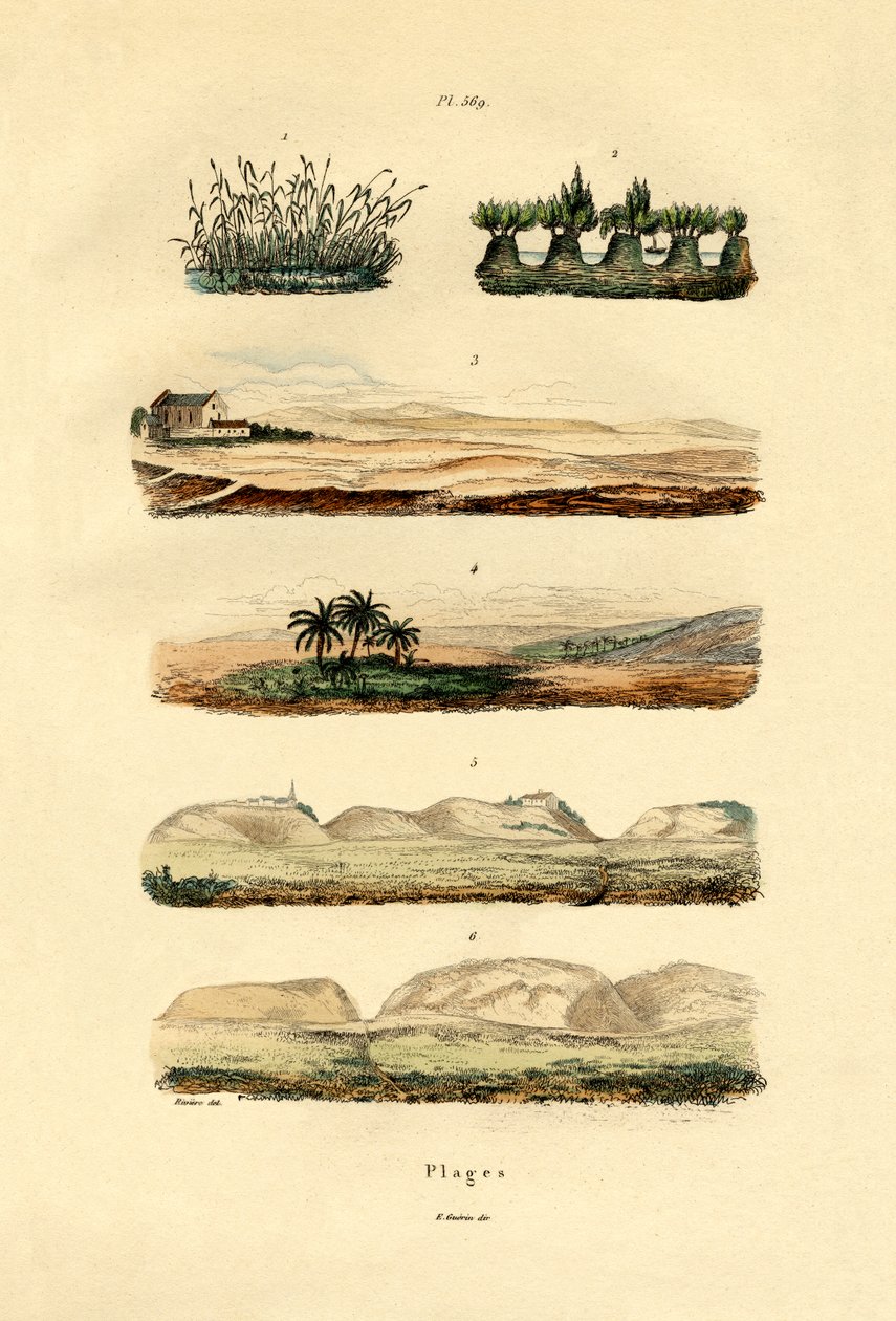 Kysten, 1833-39 av French School