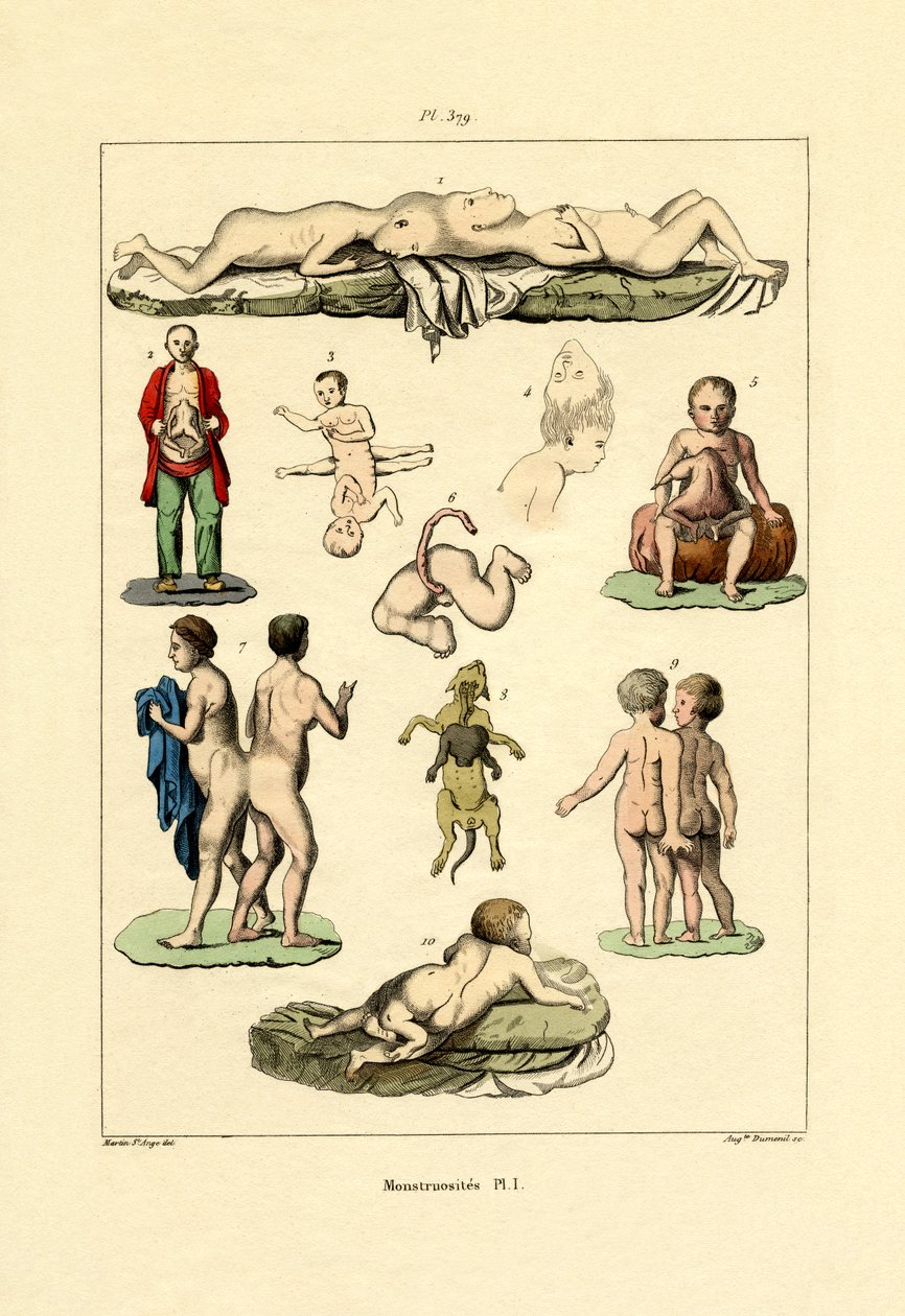 Freak, 1833-39 av French School