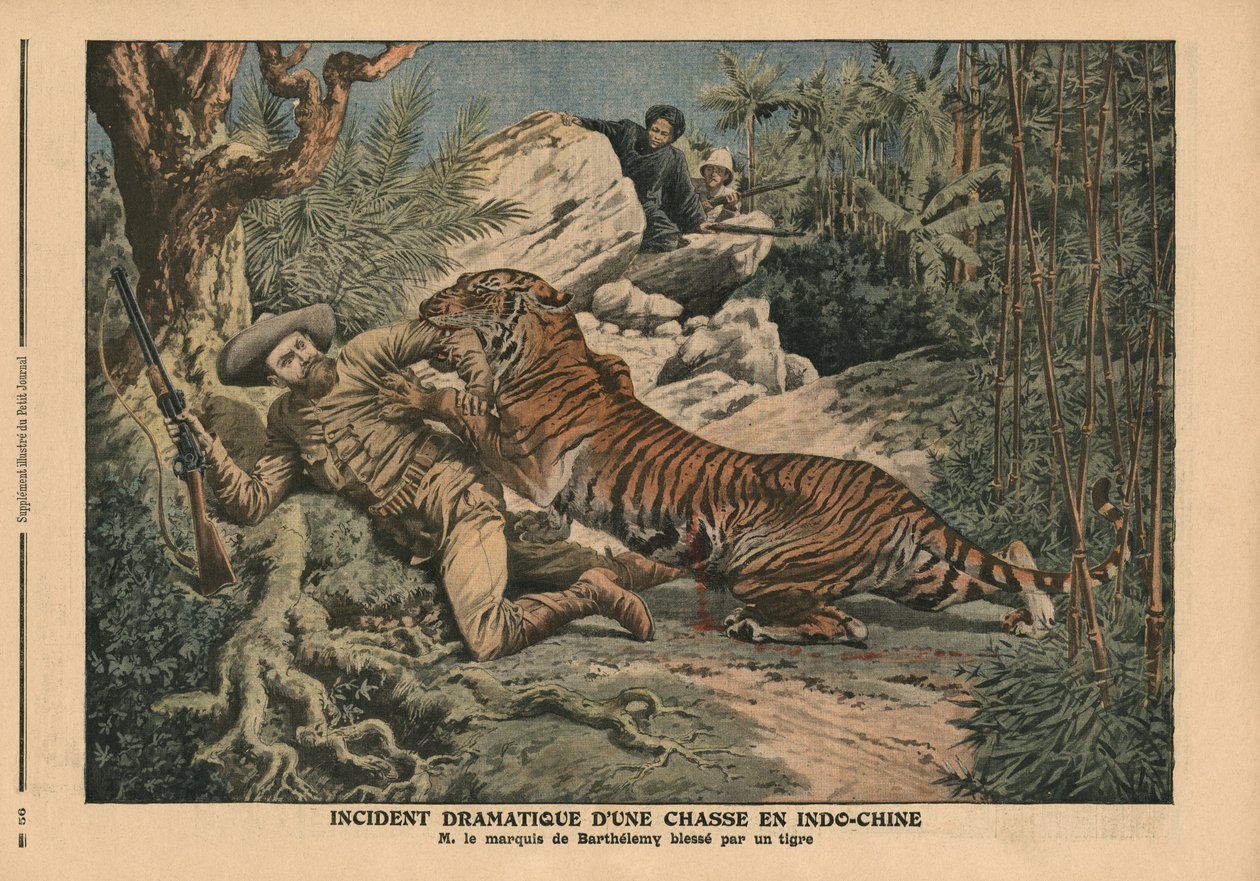 Markis av Barthelemy såret av en tiger, illustrasjon fra 