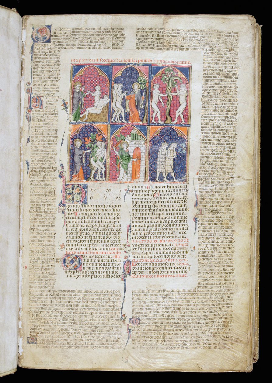 Frk. 262, f.1r: Seks scener med skapelse og fall fra Gratians dekret, ca. 1300 av French School