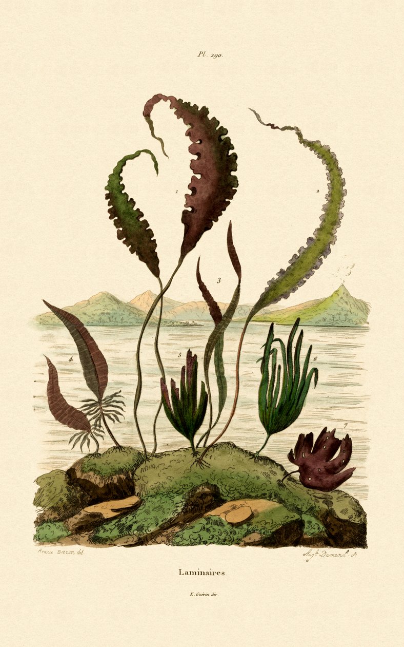 Åregress, 1833-39 av French School