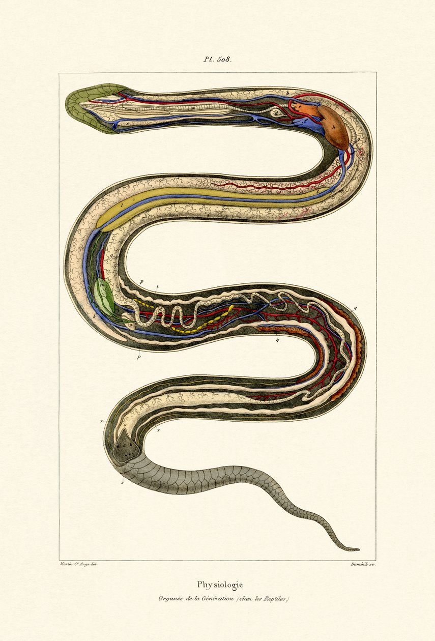 Organer, 1833-39 av French School