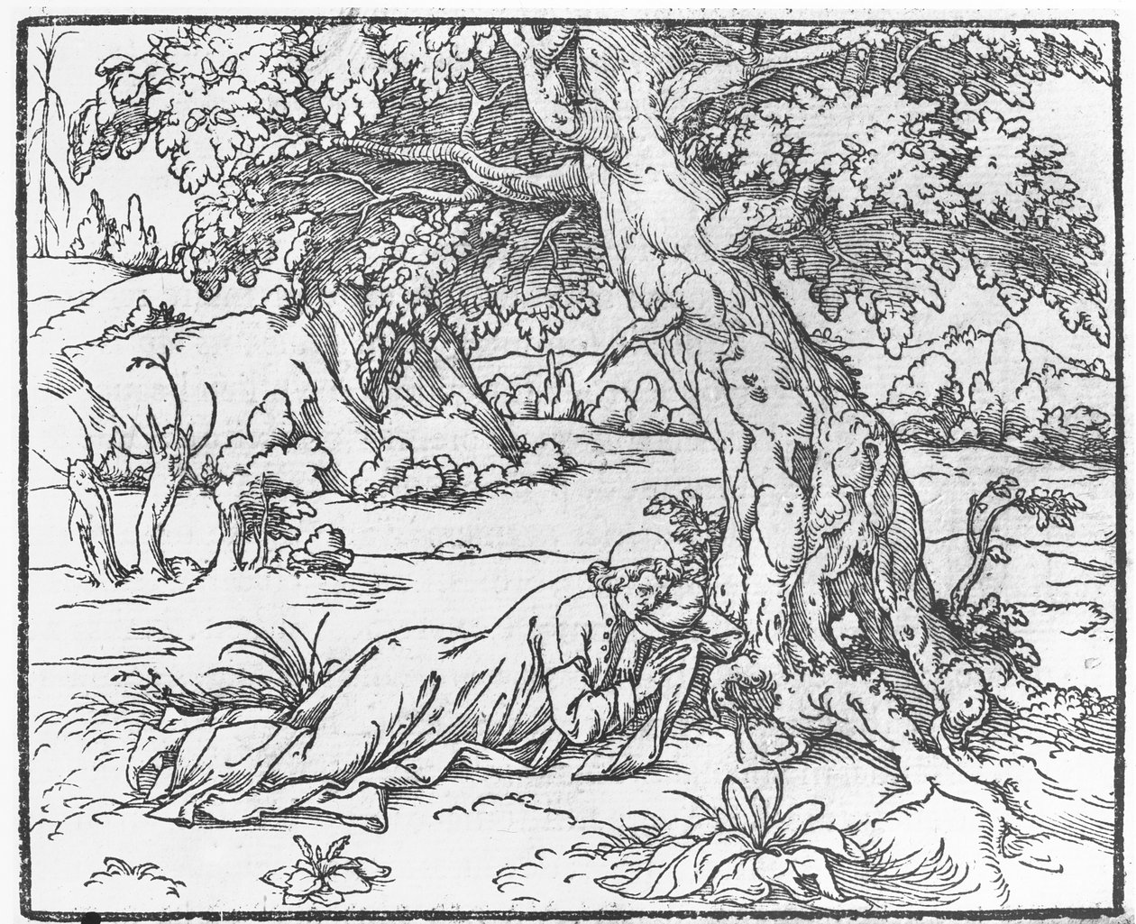 Side fra Speech of the Dream of Poliphile, av Francesco Colonna, 1546 av French School