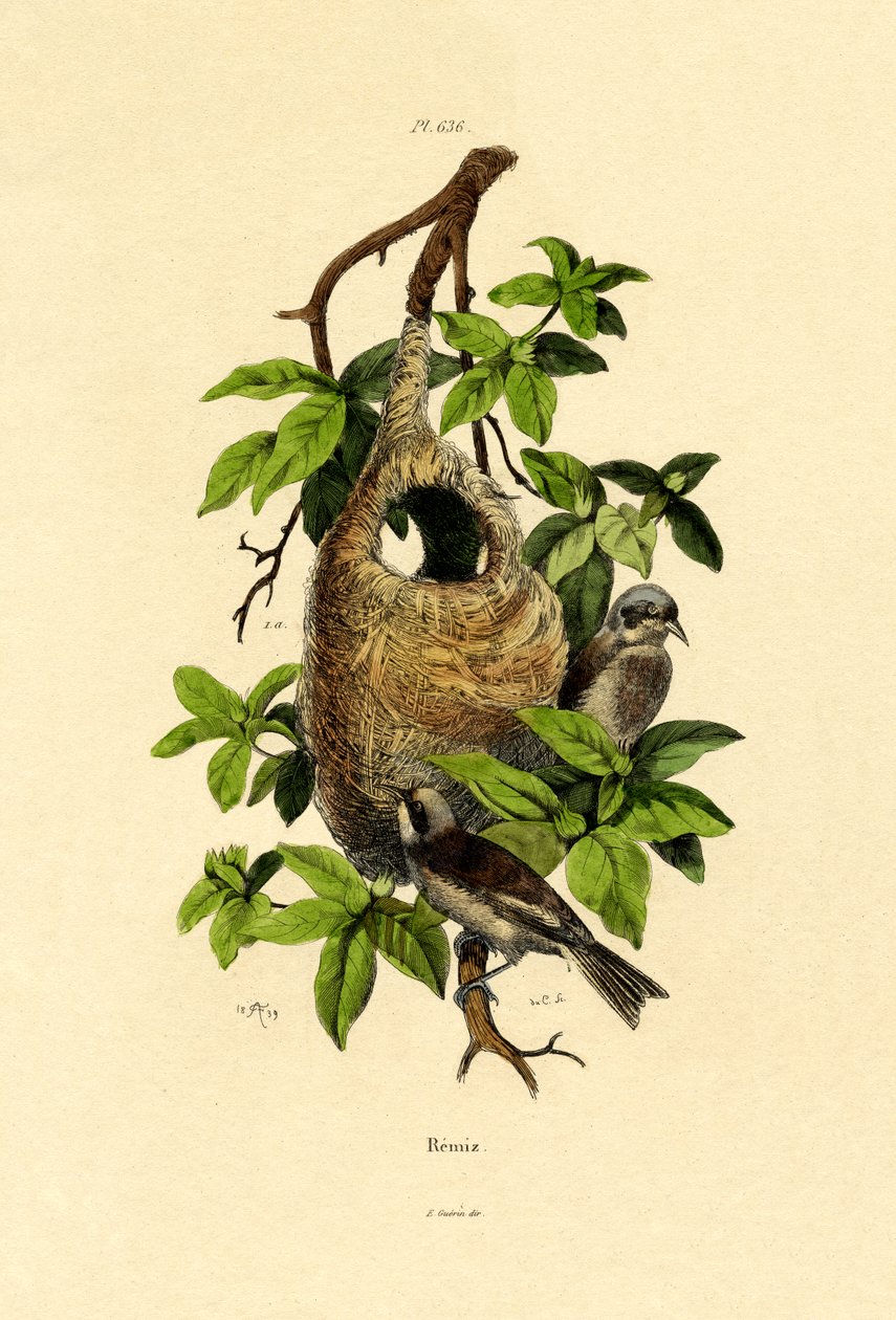 Pendelmeis, 1833-39 av French School