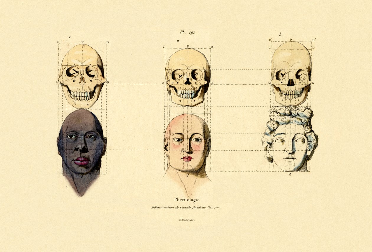 Frenologi, 1833-39 av French School