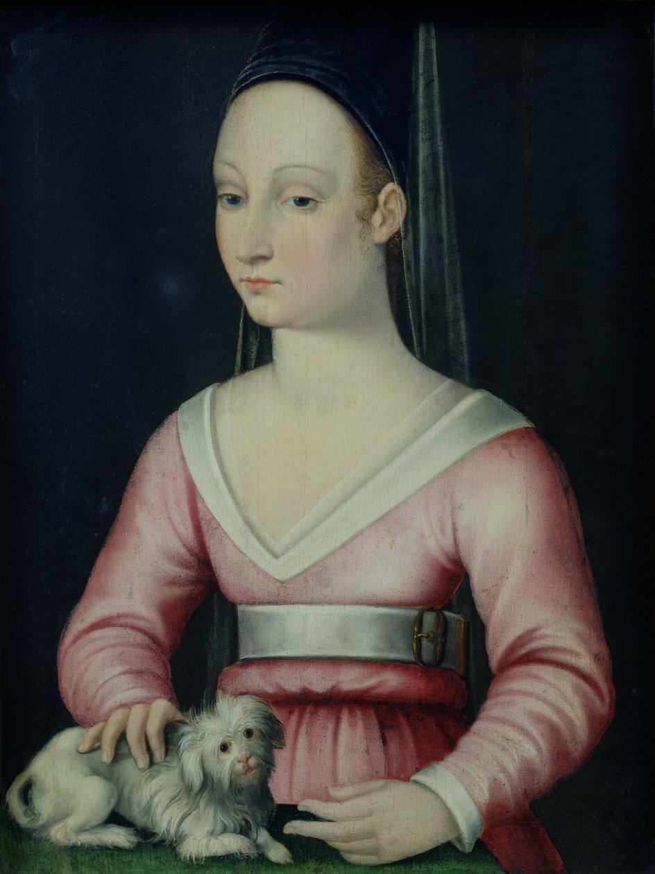 Portrett av Agnes Sorel av French School