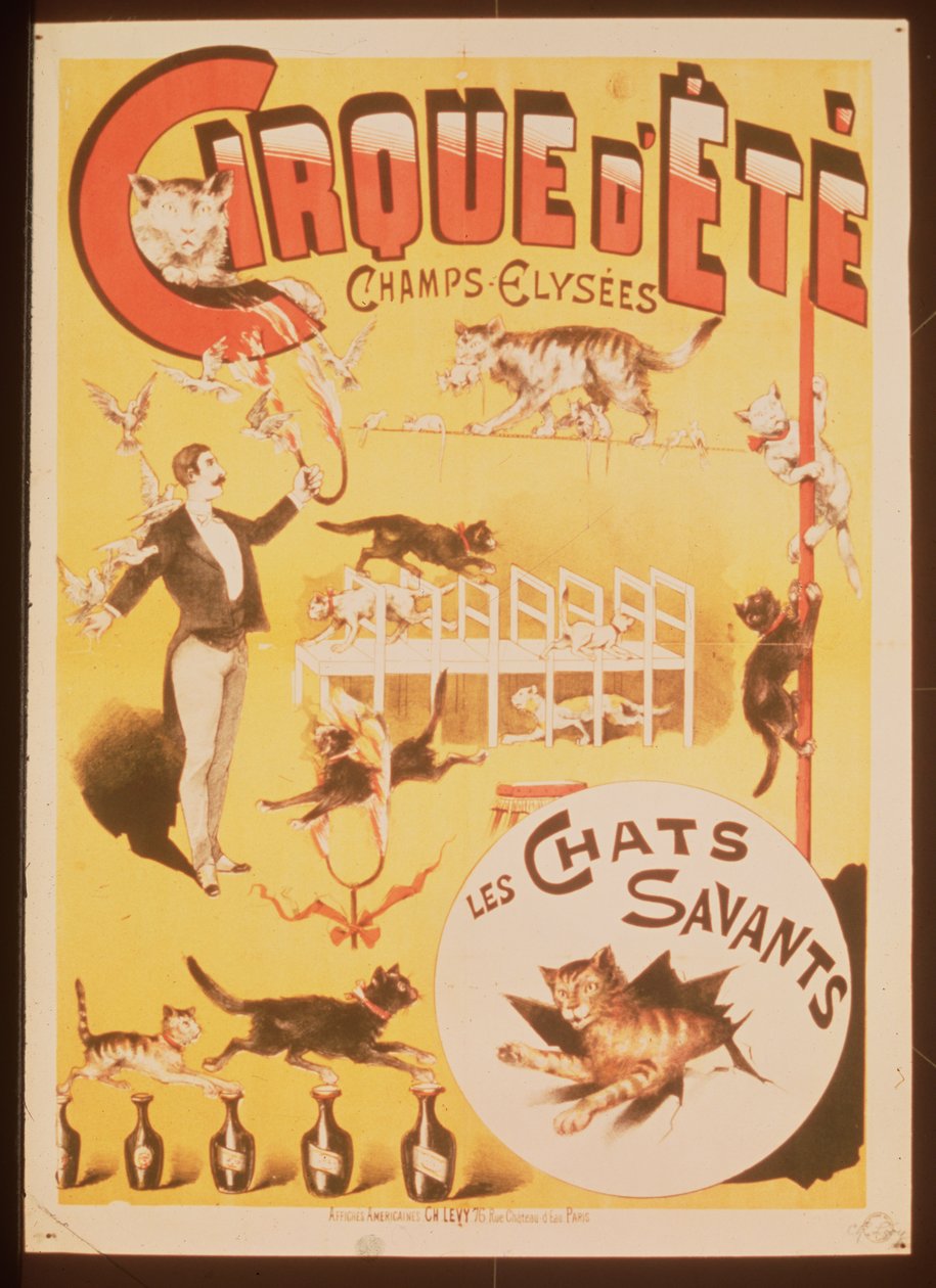 Plakat som reklamerer for Cirque d