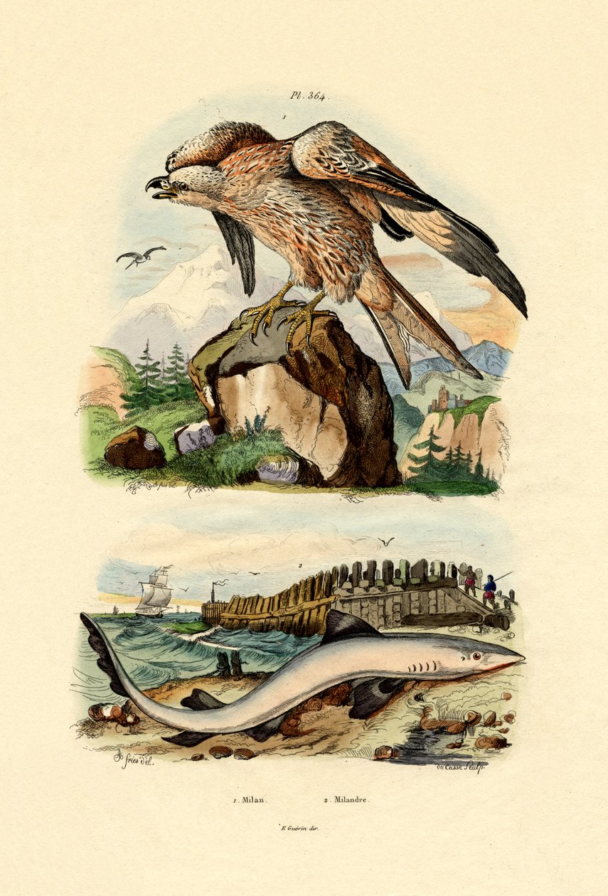 Rød drage, 1833-39 av French School