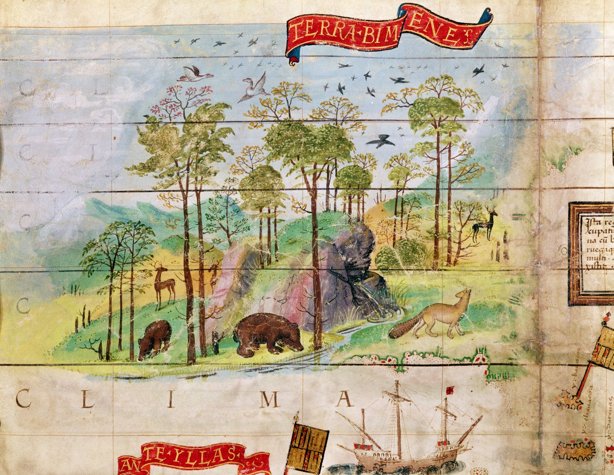 Den kanadiske skogen, detalj fra et kart over Atlanterhavet, 1519 av French School
