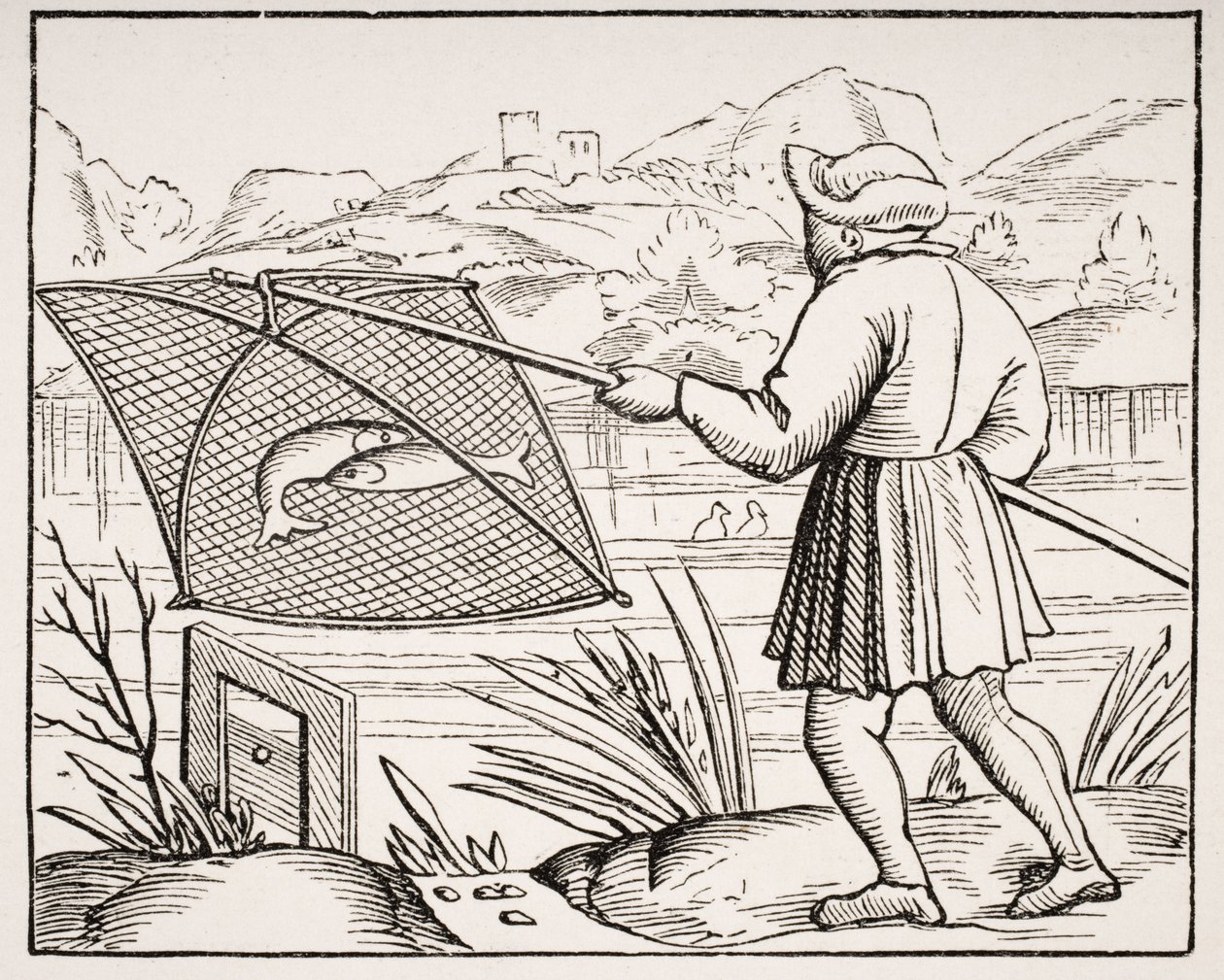 Pond Fisherman, etter et tresnitt i 