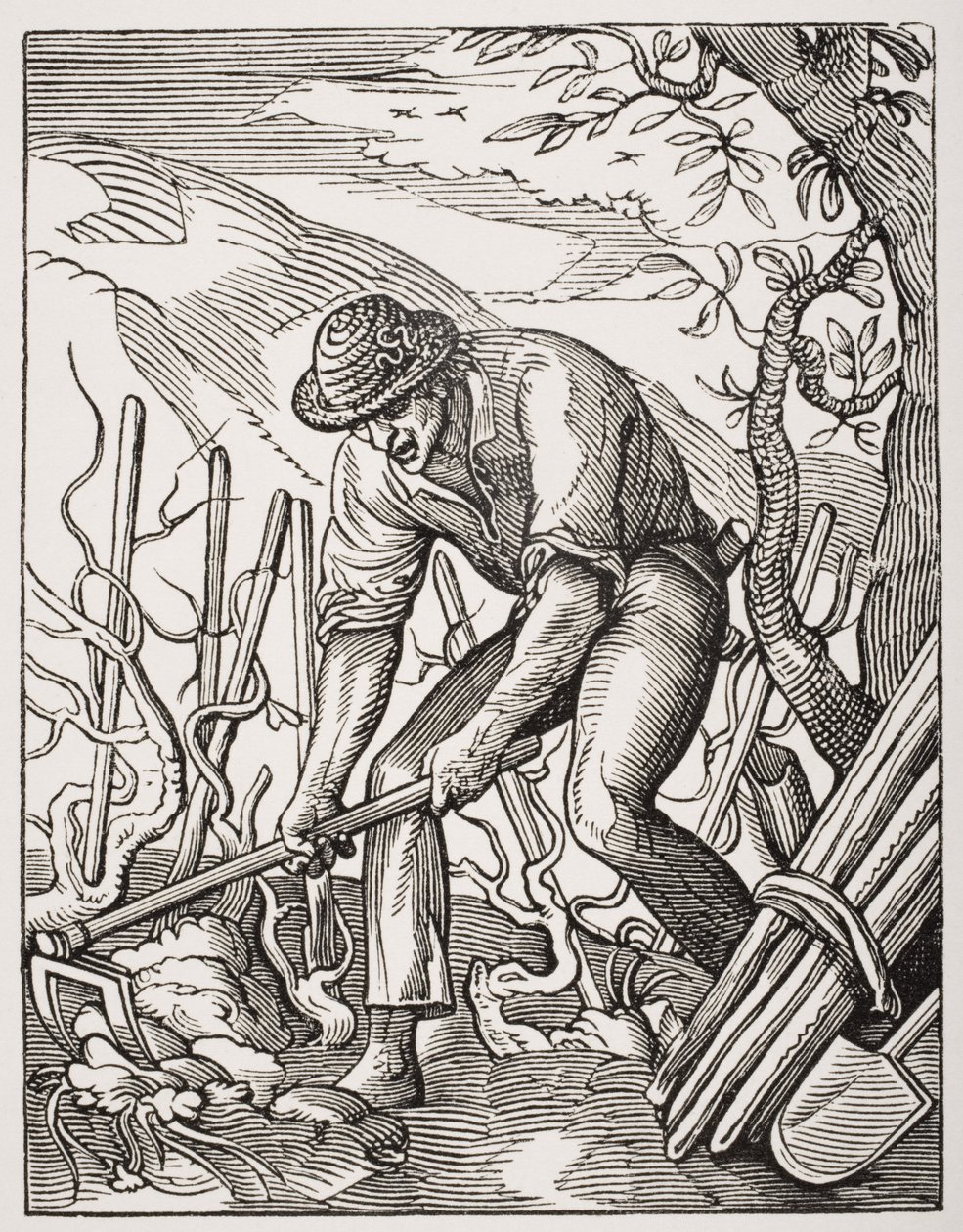 Vinbonden, etter en gravering av Jost Amman (1539-91) fra 