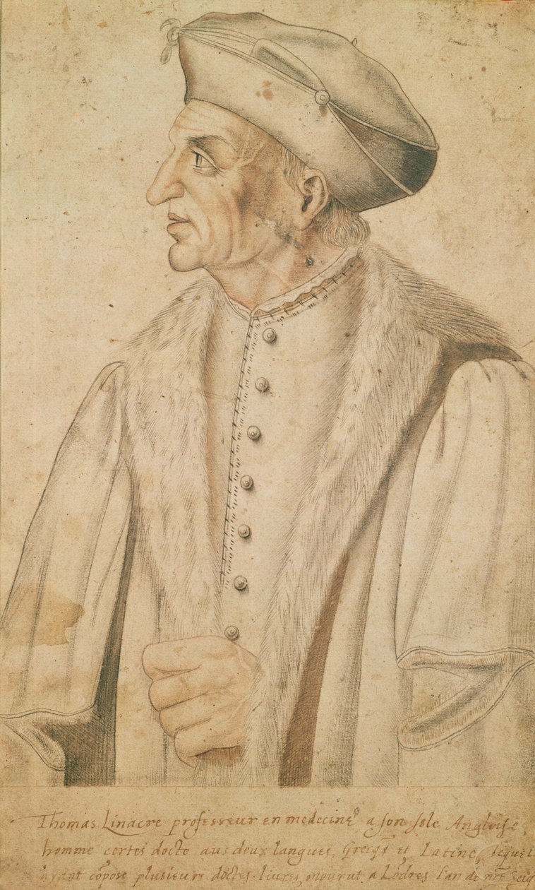 Thomas Linacre (sangvinsk på papir) av French School