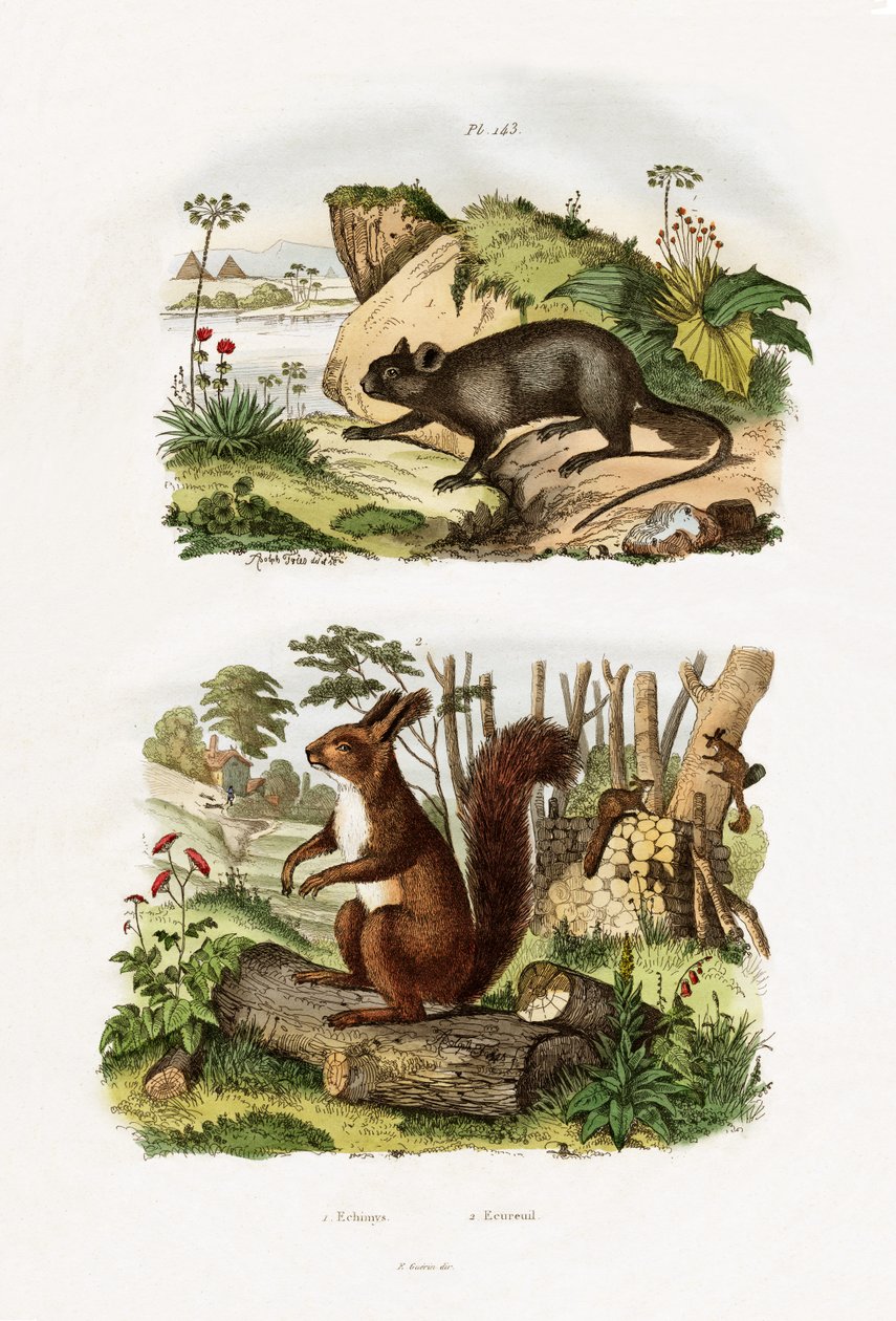 Trerotte, 1833-39 av French School