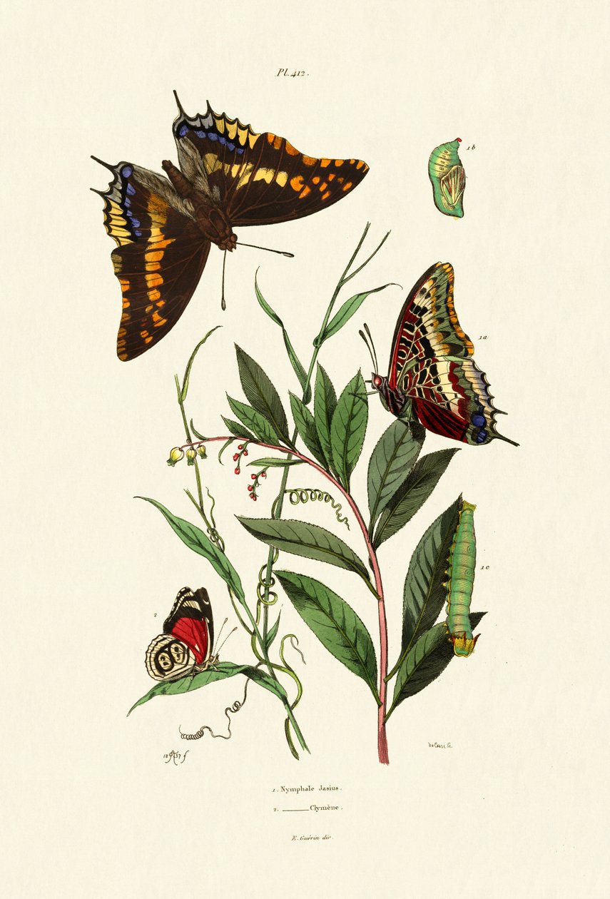 Two-tailed Pasha, 1833-39 av French School