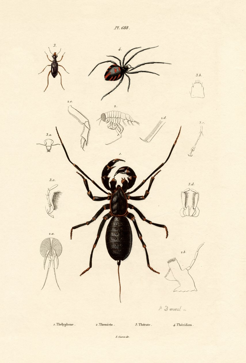 Pisk skorpion, 1833-39 av French School