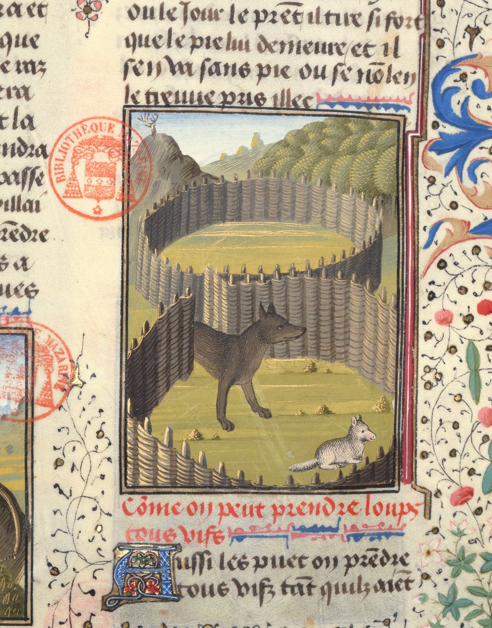 Ulv i ferd med å angripe et lam, fra Livre de la Chasse av Gaston Phebus de Foix (1331-91) av French School