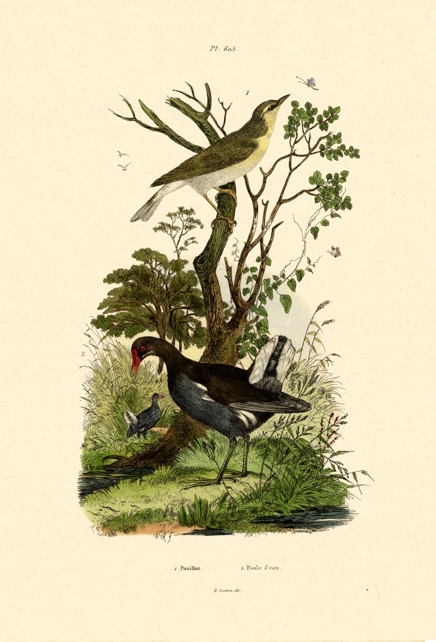 Skogsanger, 1833-39 av French School