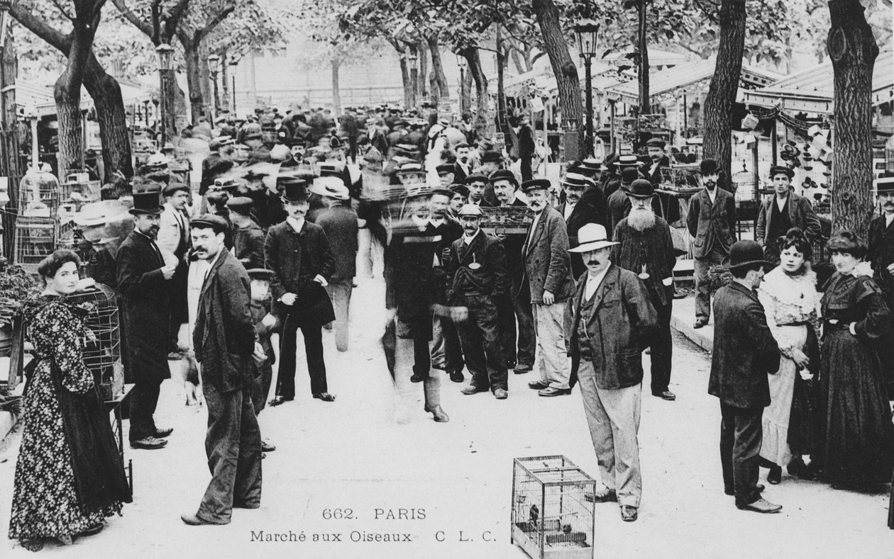 Fuglemarked, Paris av French Photographer