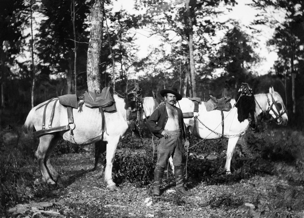 Bucheron med hestene sine, i nærheten av Bourmont i Haute-Marne (Haute Marne). Ducos samling. av French Photographer